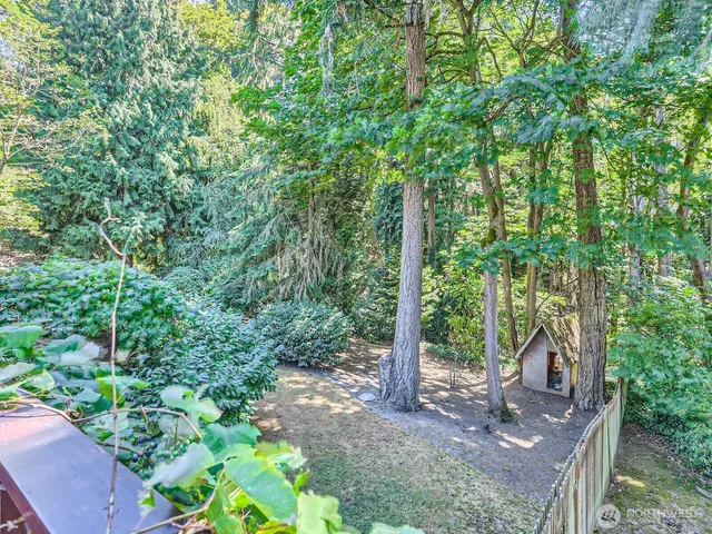 a view of a backyard with garden