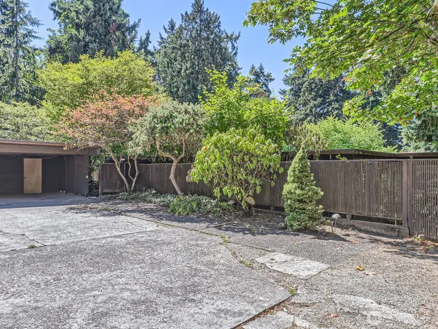 a view of a backyard