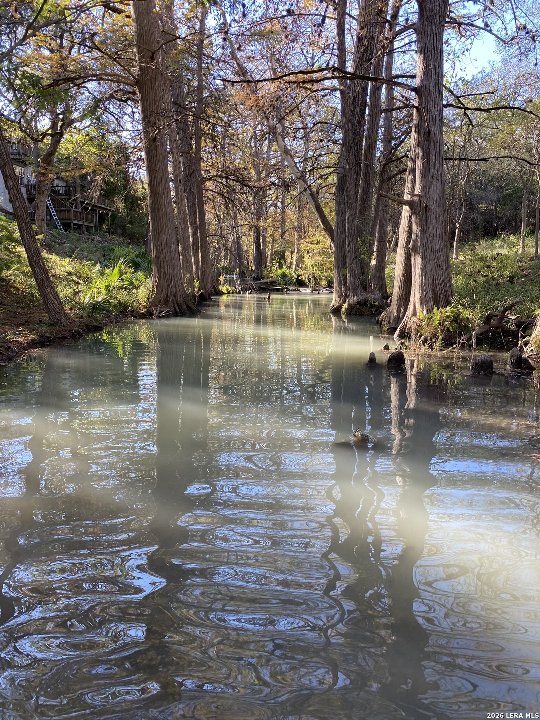 970 West Branch Crossing Spring Branch, TX 78070 - Photo 12 of 19