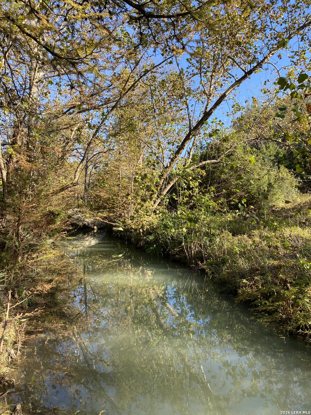 970 West Branch Crossing Spring Branch, TX 78070 - Photo 13 of 19