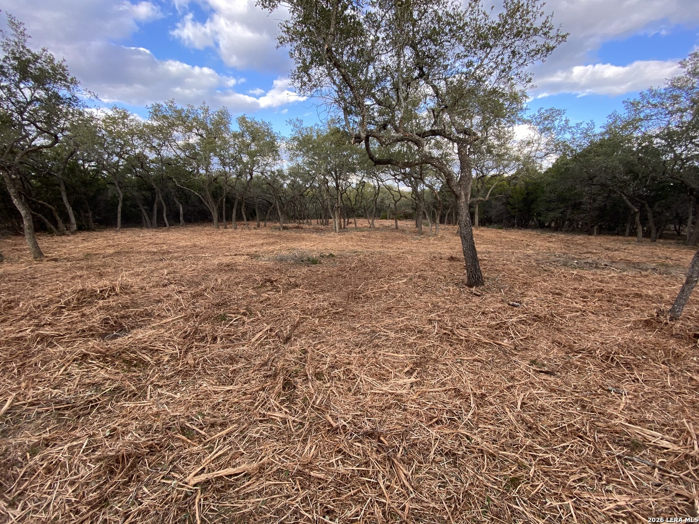 970 West Branch Crossing Spring Branch, TX 78070 - Photo 17 of 19