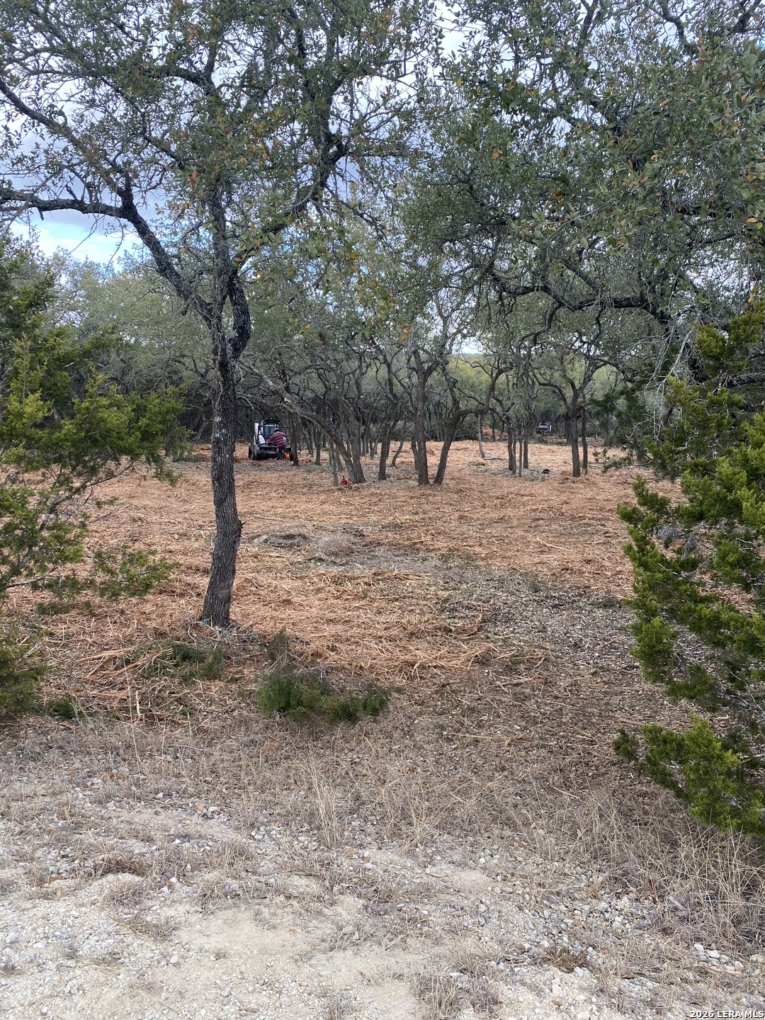970 West Branch Crossing Spring Branch, TX 78070 - Photo 18 of 19