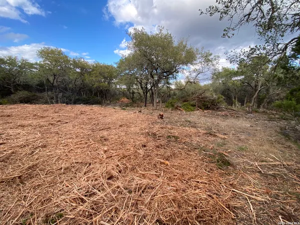 $289,900 | 970 West Branch Crossing, Spring Branch, TX 78070