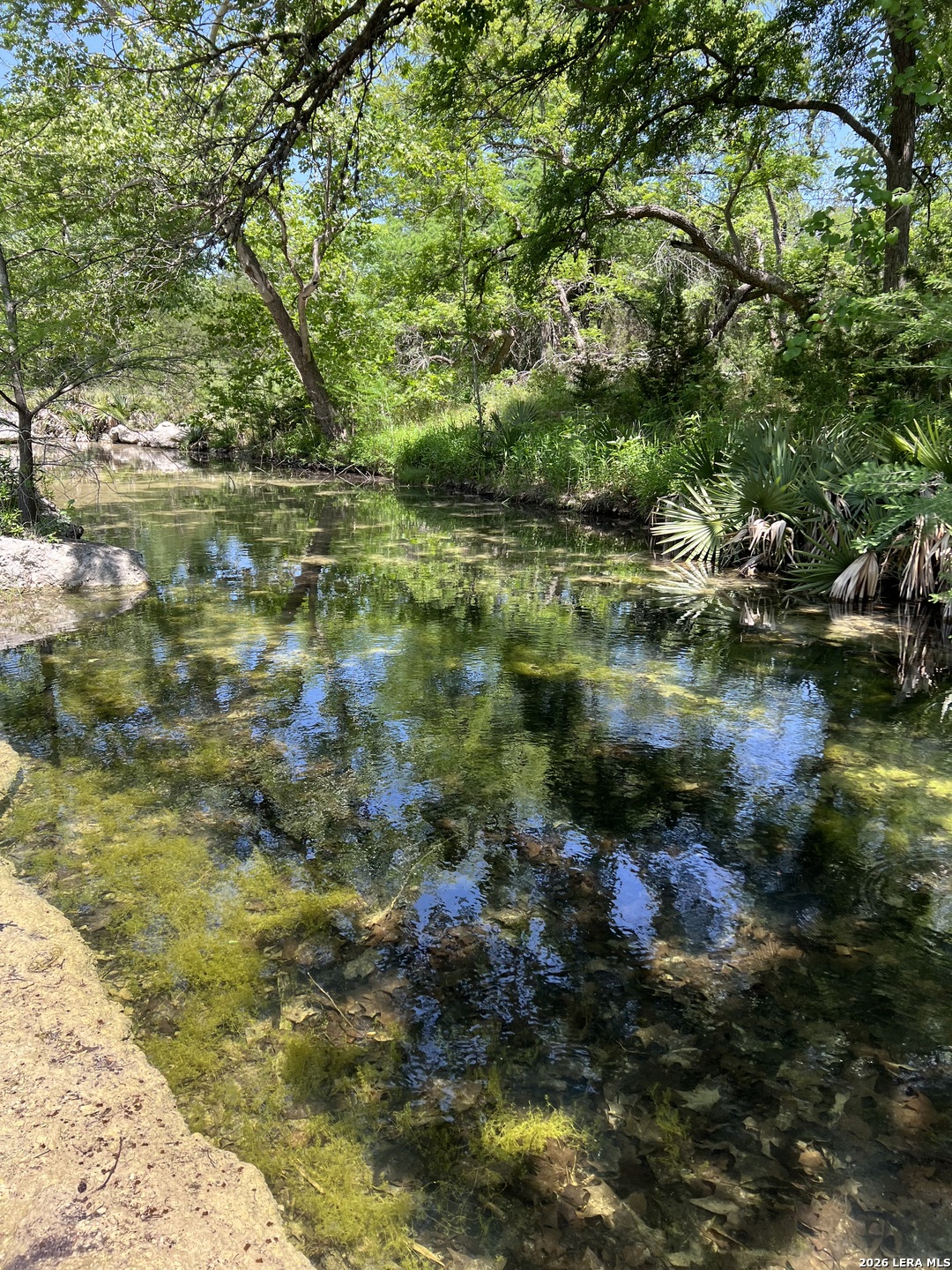 970 West Branch Crossing Spring Branch, TX 78070 - Photo 2 of 19