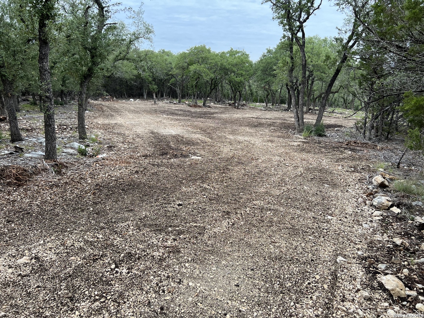 970 West Branch Crossing Spring Branch, TX 78070 - Photo 3 of 19
