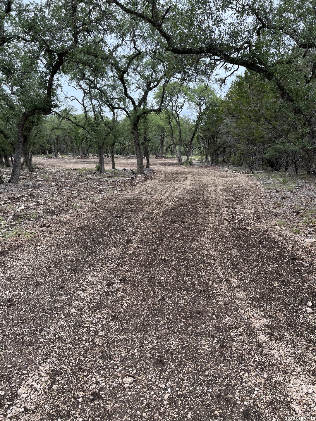 970 West Branch Crossing Spring Branch, TX 78070 - Photo 4 of 19
