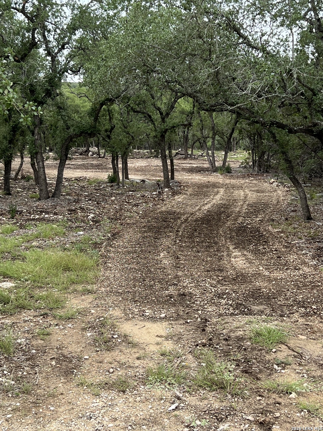 970 West Branch Crossing Spring Branch, TX 78070 - Photo 5 of 19