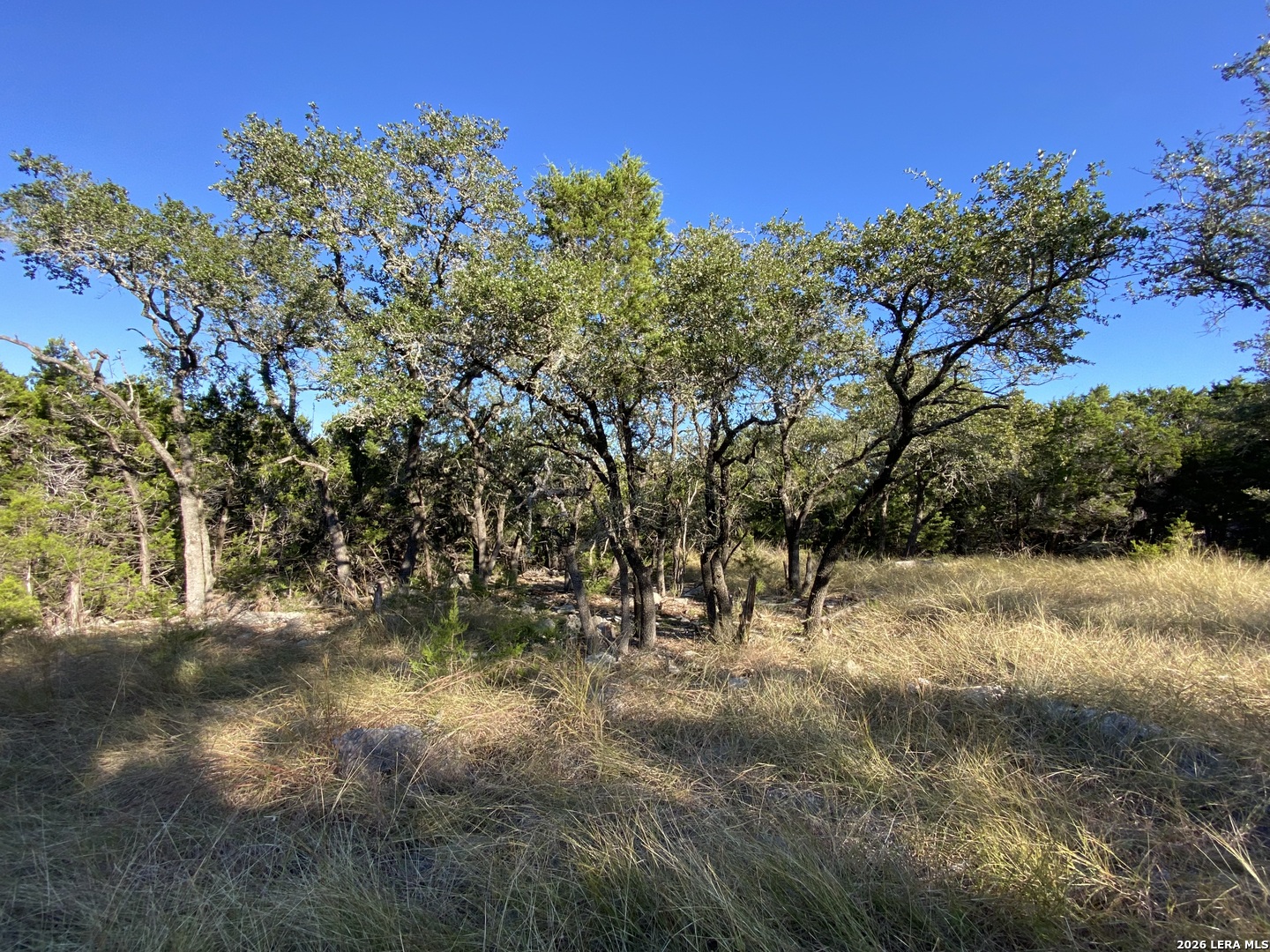 970 West Branch Crossing Spring Branch, TX 78070 - Photo 8 of 19
