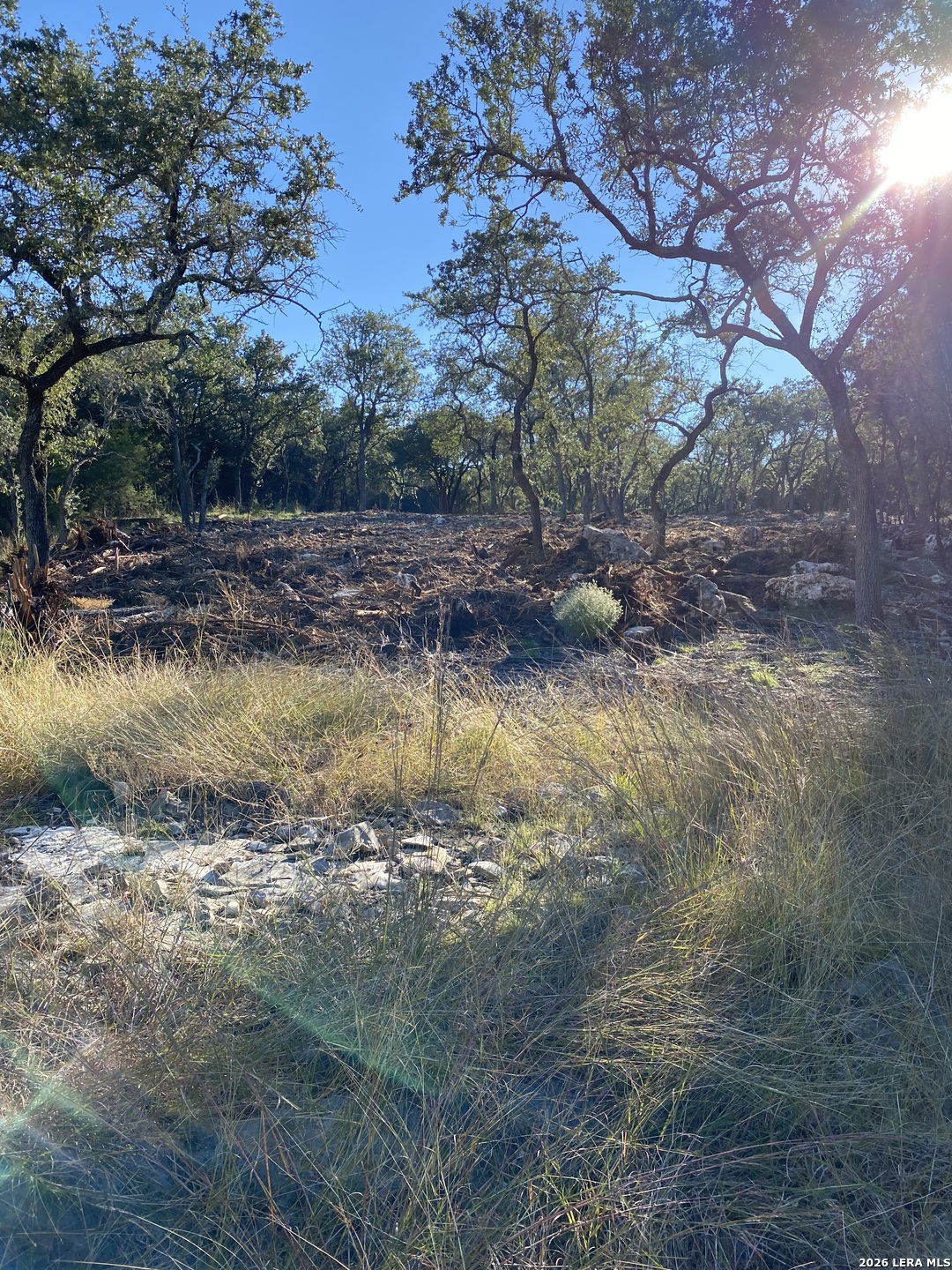 970 West Branch Crossing Spring Branch, TX 78070 - Photo 9 of 19