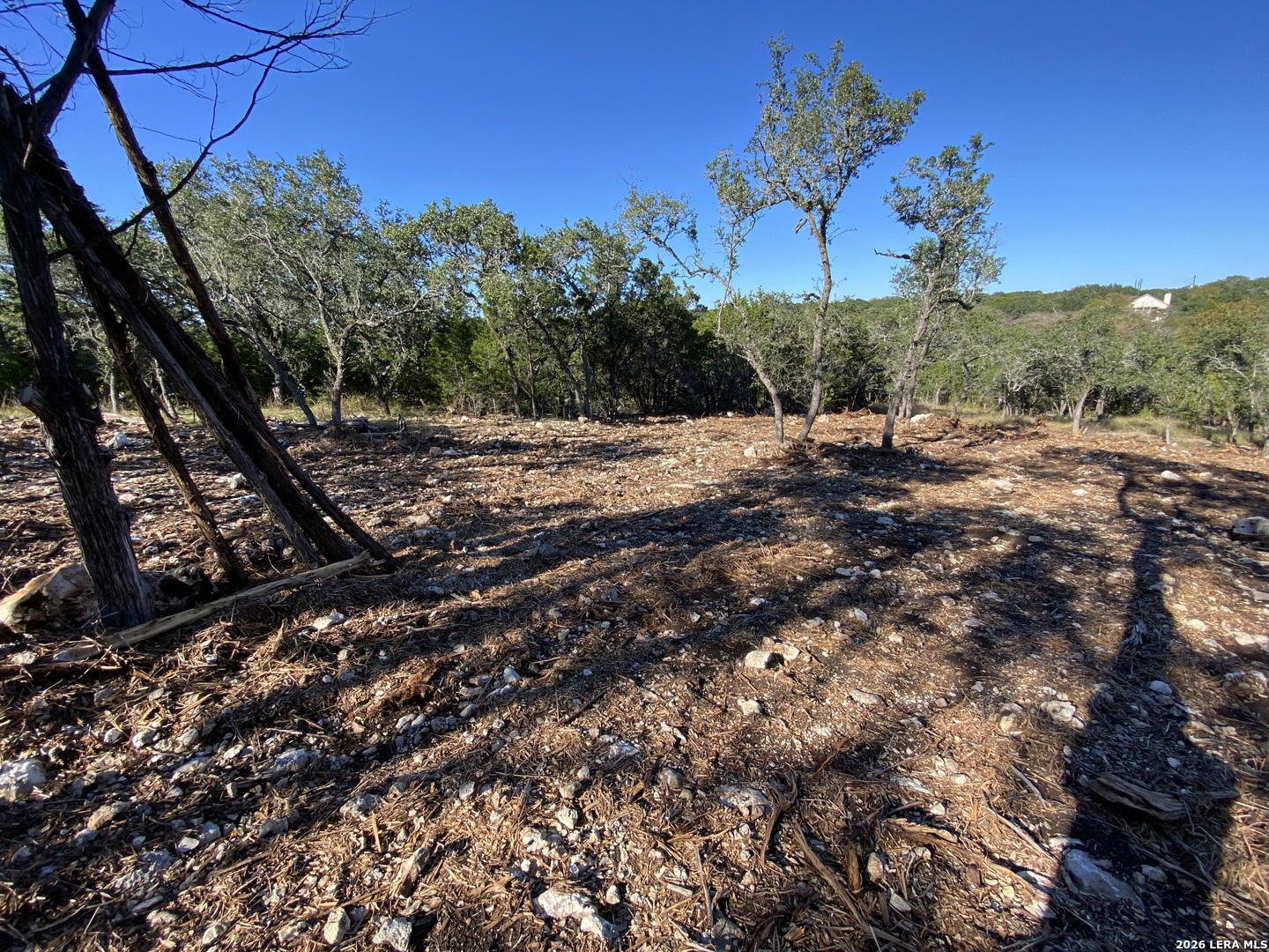 970 West Branch Crossing Spring Branch, TX 78070 - Photo 10 of 19