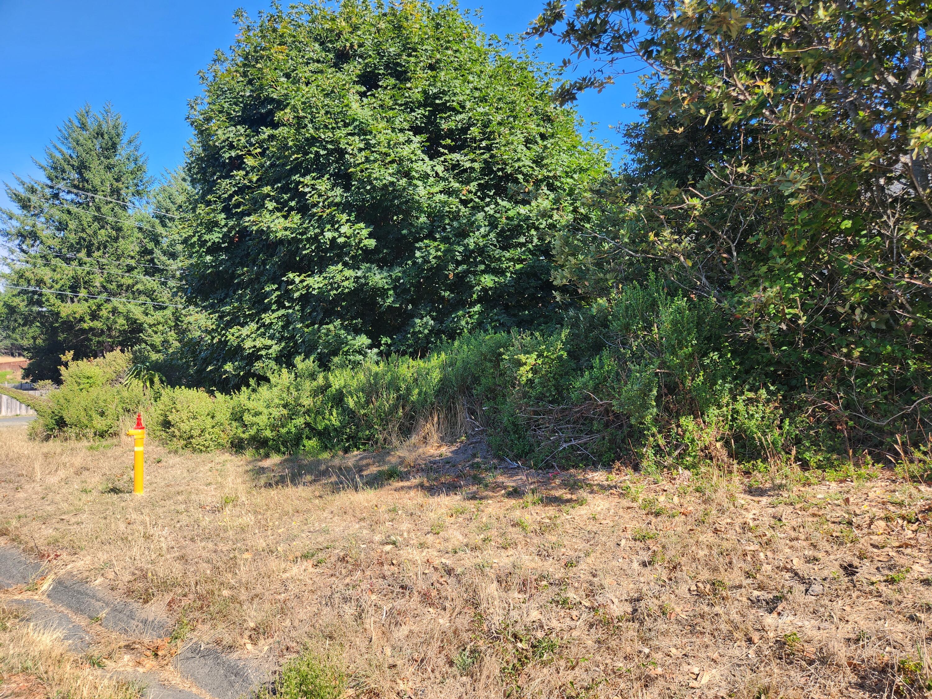 167 Spring Road Whitethorn, CA 95589 - Photo 4 of 9