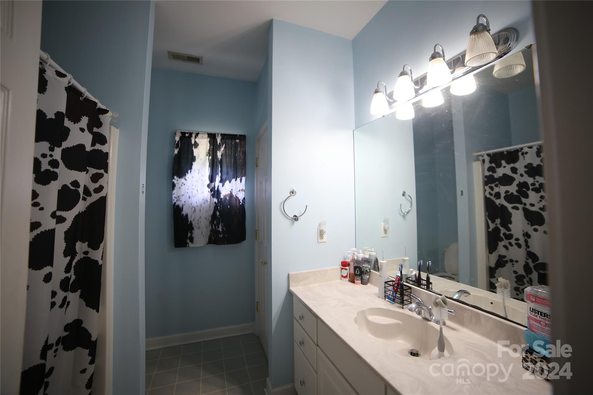 1117 Blacksnake Road Stanley, NC 28164 - Photo 13 of 27 a bathroom with a sink vanity and a mirror