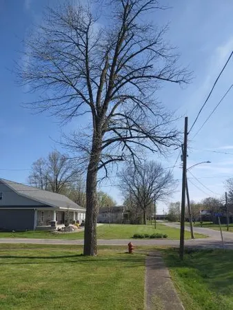 $40,000 | 605 West Hamilton Street, Bunker Hill, IL 62014