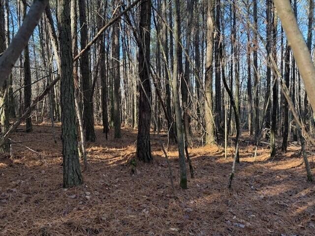 9 Hwy 11 Valley Valley Head, AL 35989 - Photo 1 of 13 a view of outdoor space with sink