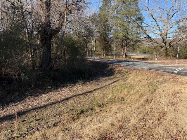 9 Hwy 11 Valley Valley Head, AL 35989 - Photo 12 of 13 a view of backyard with green space
