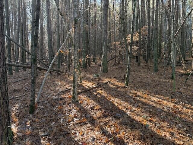 9 Hwy 11 Valley Valley Head, AL 35989 - Photo 5 of 13 a backyard of a house with lots of green space