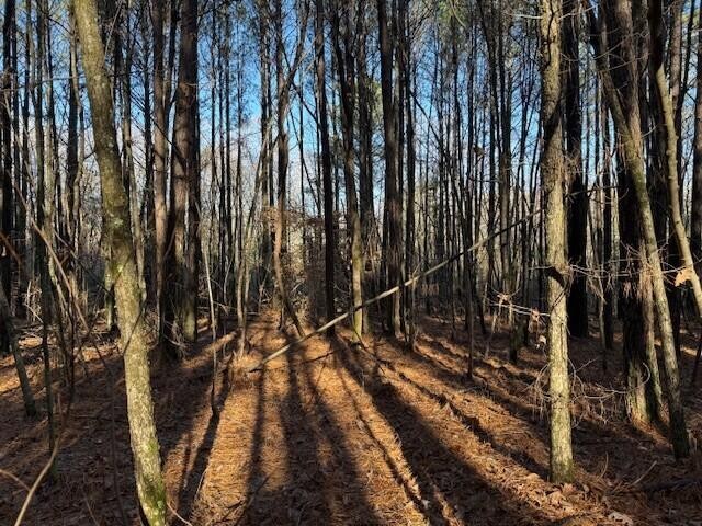 9 Hwy 11 Valley Valley Head, AL 35989 - Photo 6 of 13 a view of outdoor space with seating area
