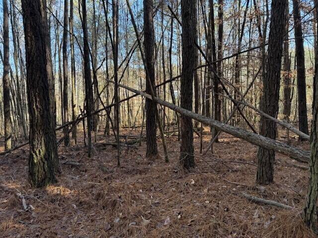 9 Hwy 11 Valley Valley Head, AL 35989 - Photo 7 of 13 a view of a forest with trees