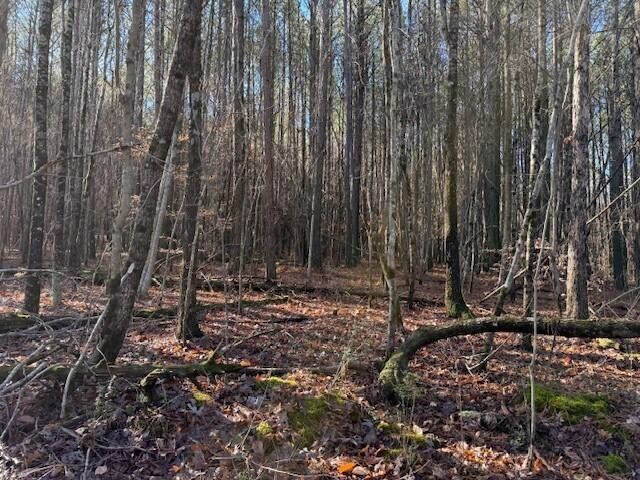 9 Hwy 11 Valley Valley Head, AL 35989 - Photo 8 of 13 a view of a backyard with trees