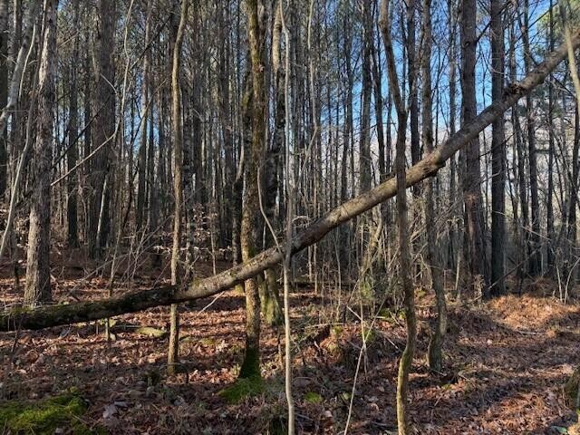 9 Hwy 11 Valley Valley Head, AL 35989 - Photo 9 of 13 a close up of a wooden bridge