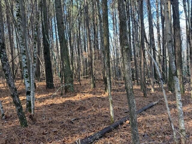 9 Hwy 11 Valley Valley Head, AL 35989 - Photo 10 of 13 a view of outdoor space with lots of trees