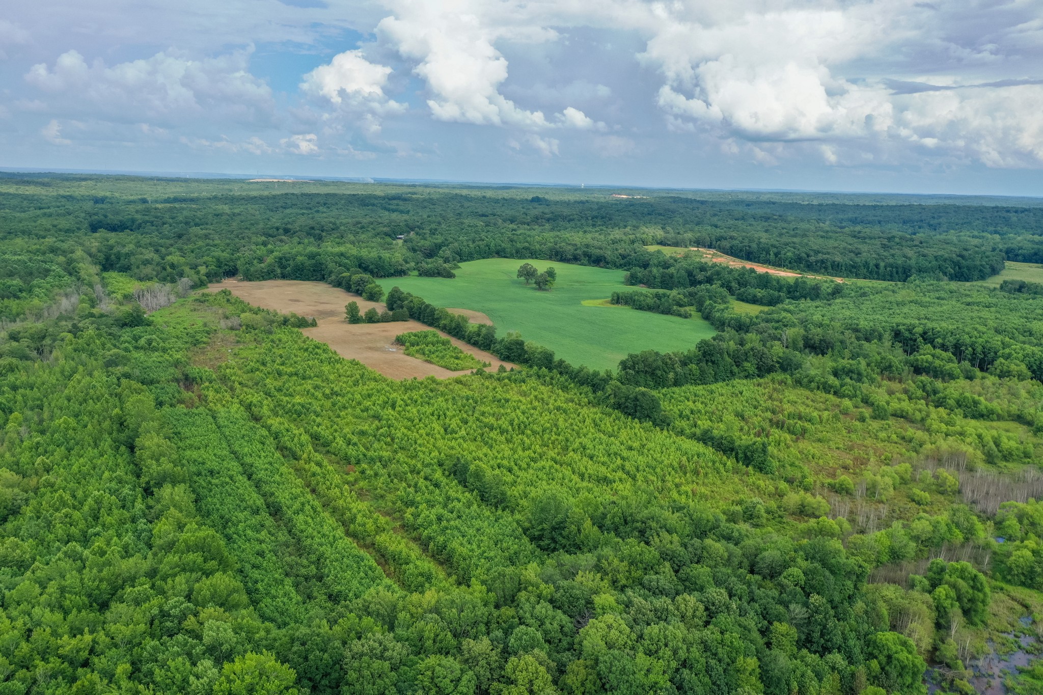 2155 Big Sandy River Road Camden, TN 38320 - Photo 1 of 50 Gallery Image 1