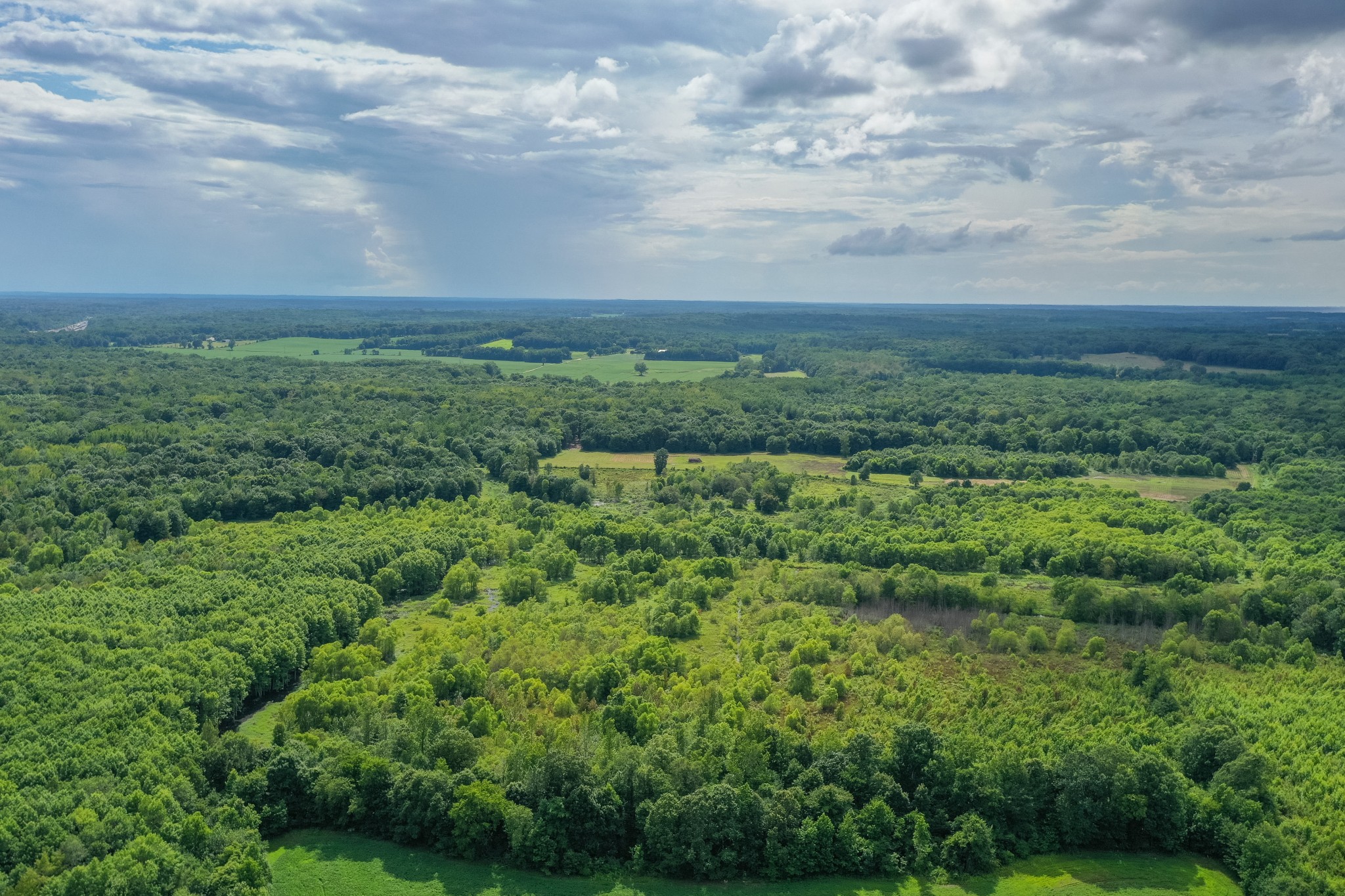 2155 Big Sandy River Road Camden, TN 38320 - Photo 11 of 50 Gallery Image 11