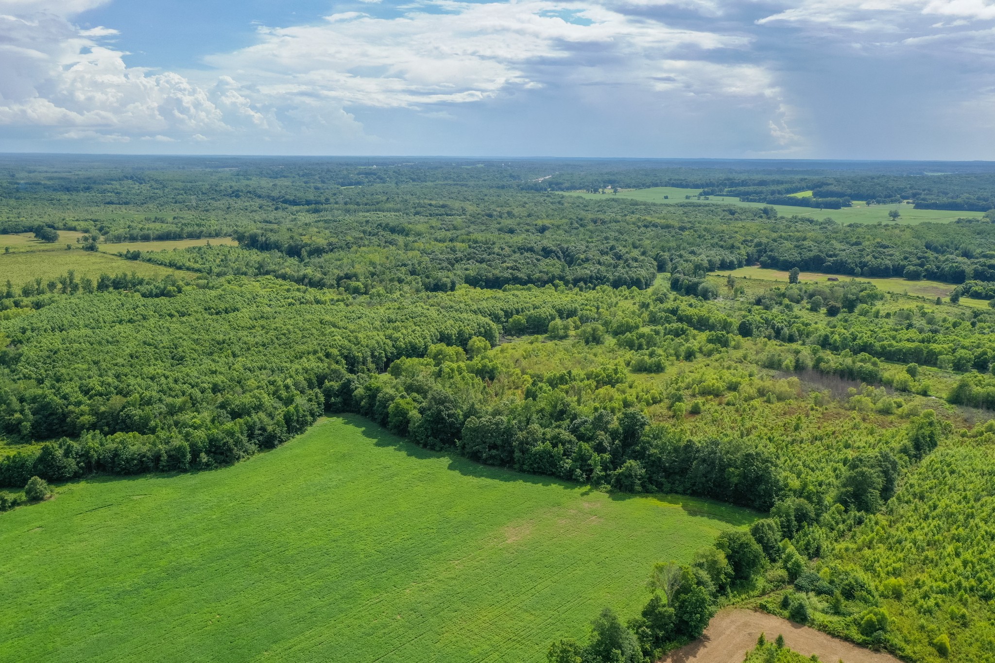 2155 Big Sandy River Road Camden, TN 38320 - Photo 12 of 50 Gallery Image 12