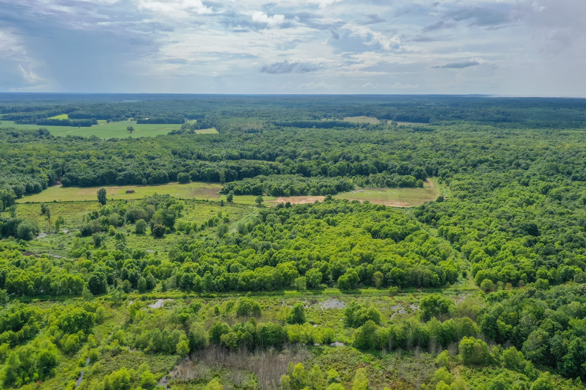 2155 Big Sandy River Road Camden, TN 38320 - Photo 15 of 50 Gallery Image 15