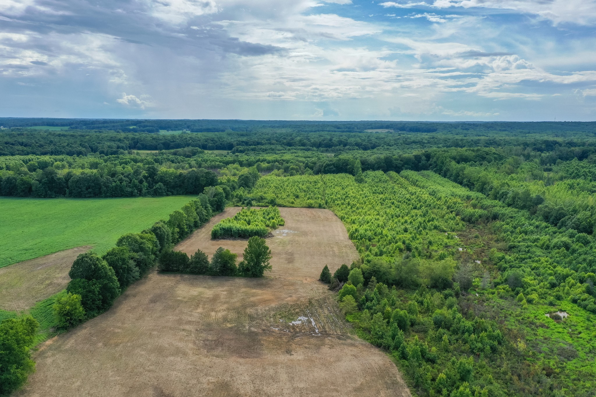 2155 Big Sandy River Road Camden, TN 38320 - Photo 19 of 50 Gallery Image 19