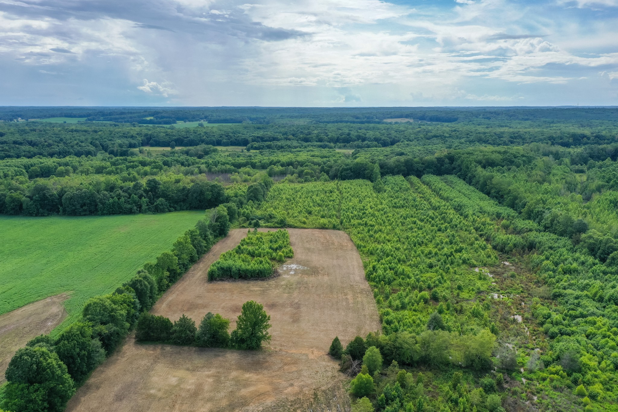 2155 Big Sandy River Road Camden, TN 38320 - Photo 20 of 50 Gallery Image 20