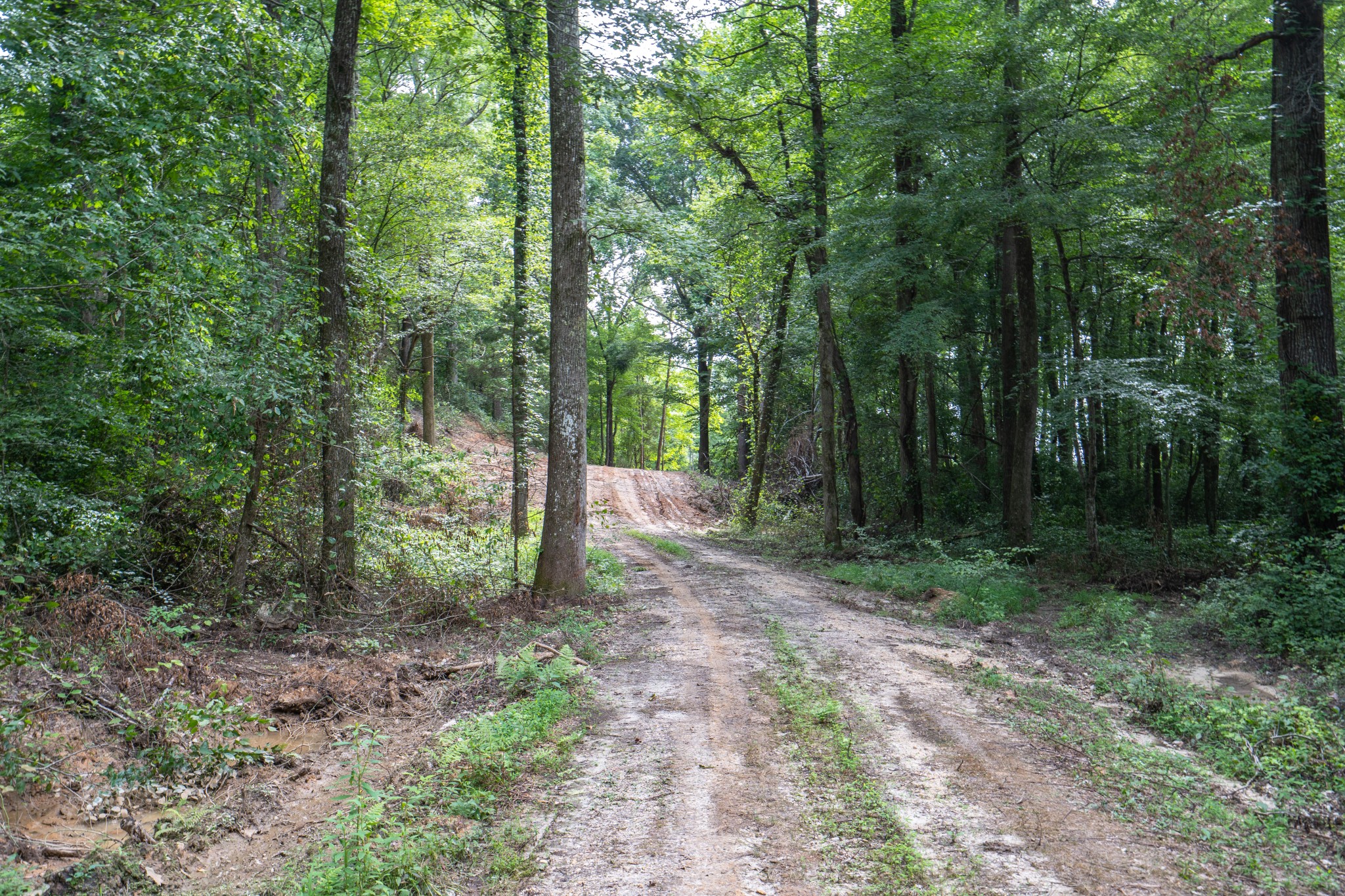 2155 Big Sandy River Road Camden, TN 38320 - Photo 37 of 50 Gallery Image 37