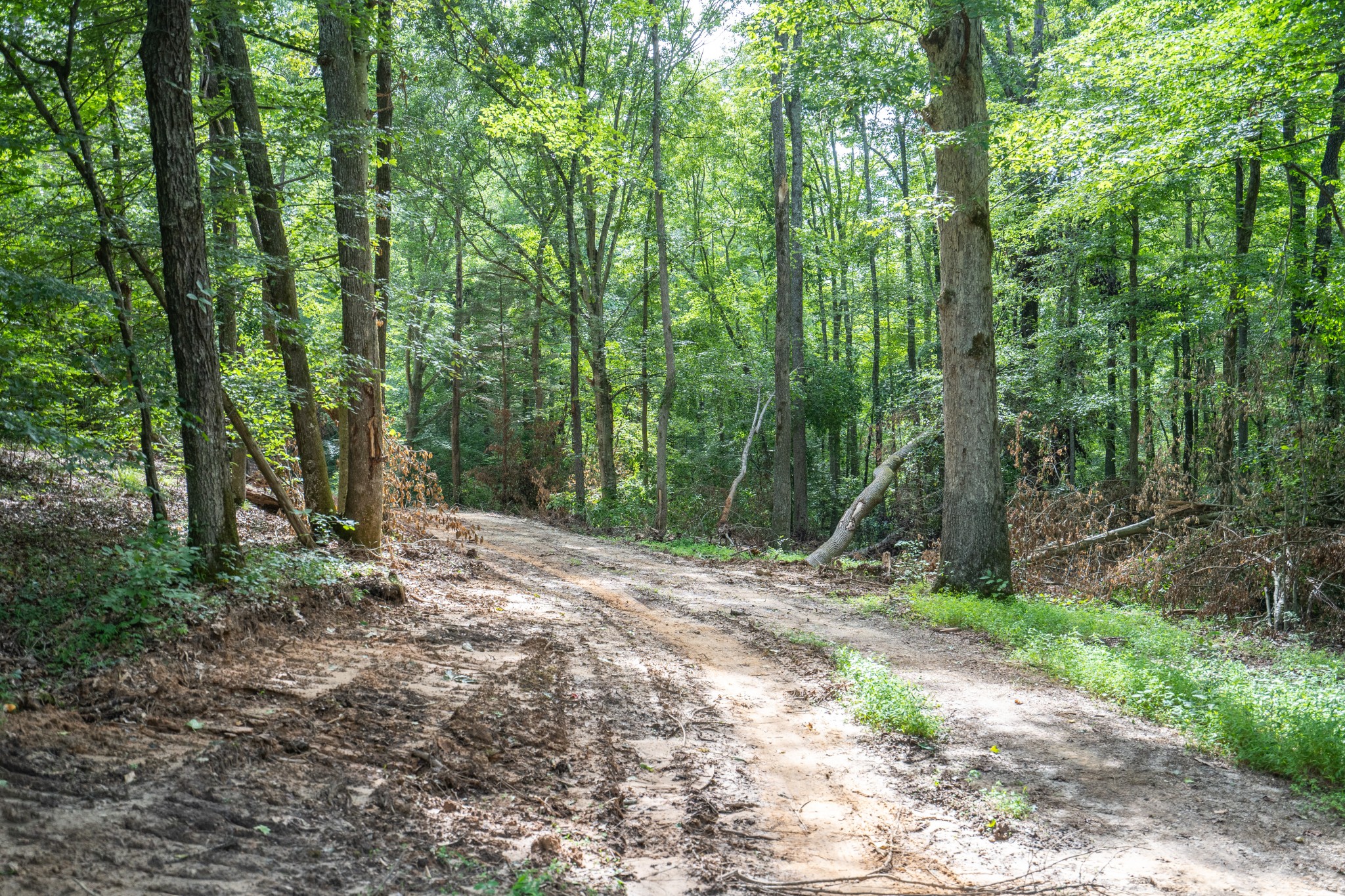 2155 Big Sandy River Road Camden, TN 38320 - Photo 39 of 50 Gallery Image 39
