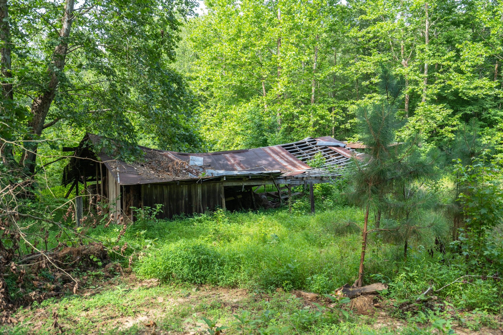 2155 Big Sandy River Road Camden, TN 38320 - Photo 41 of 50 Gallery Image 41