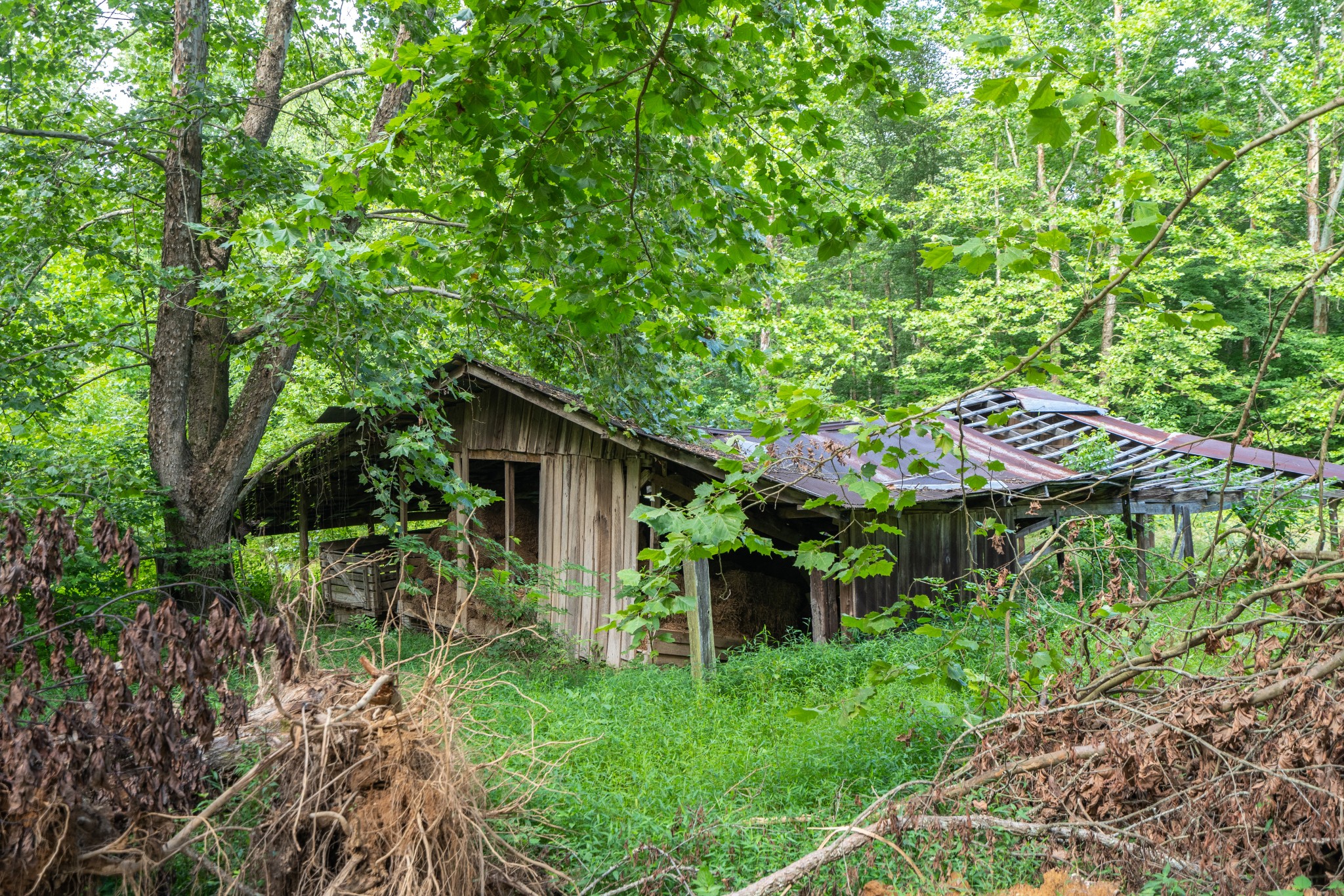 2155 Big Sandy River Road Camden, TN 38320 - Photo 42 of 50 Gallery Image 42