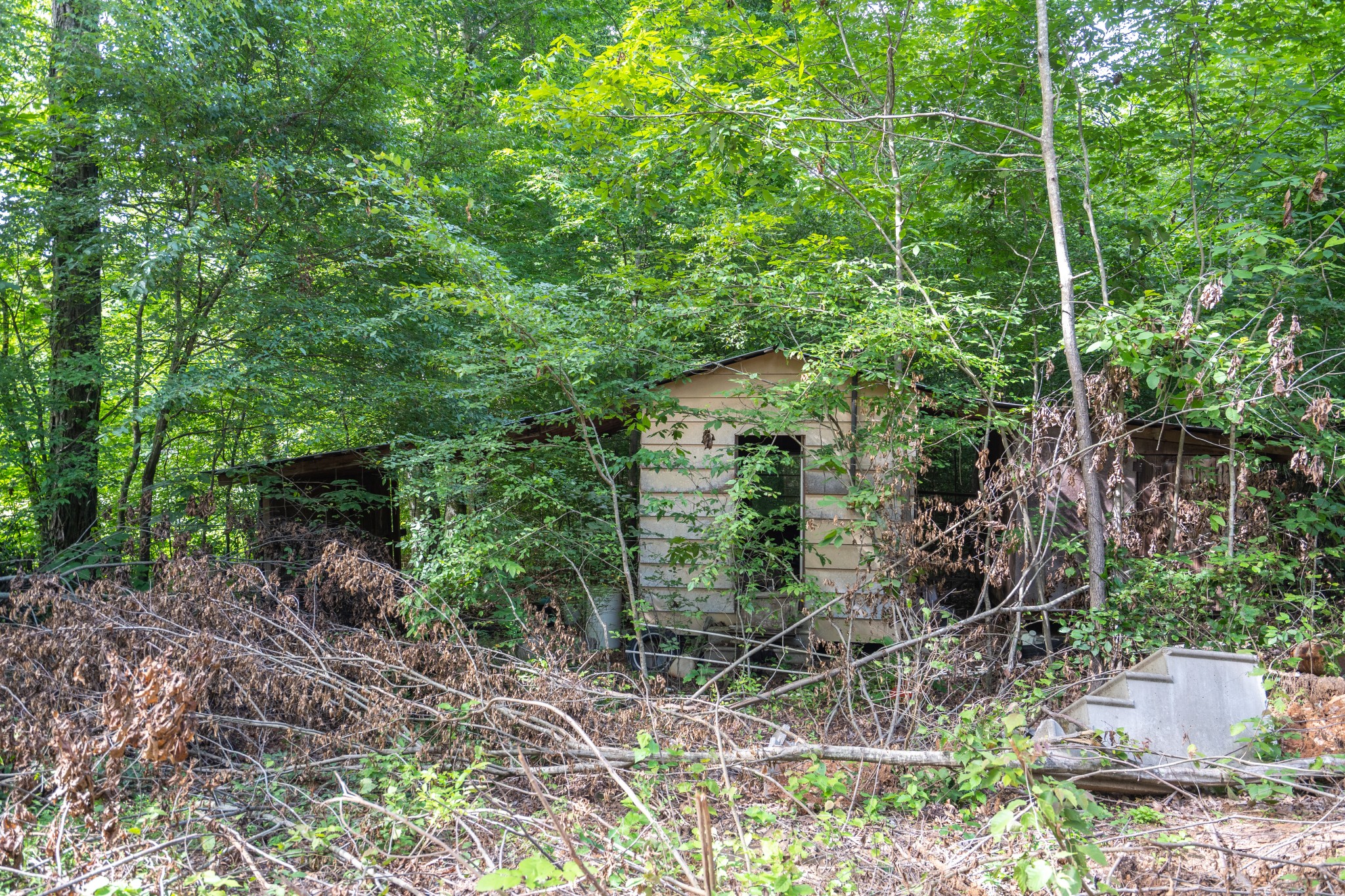 2155 Big Sandy River Road Camden, TN 38320 - Photo 44 of 50 Gallery Image 44