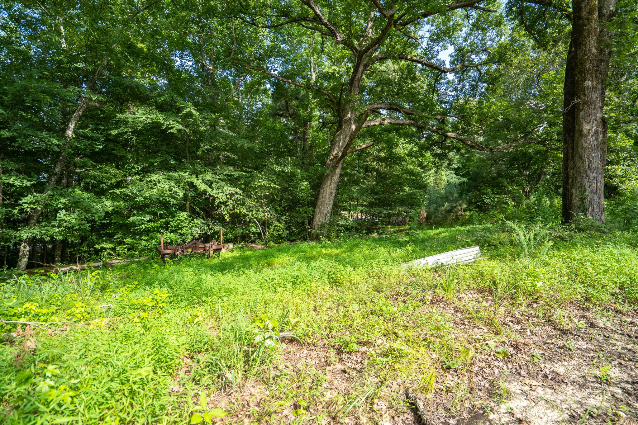 2155 Big Sandy River Road Camden, TN 38320 - Photo 46 of 50 Gallery Image 46