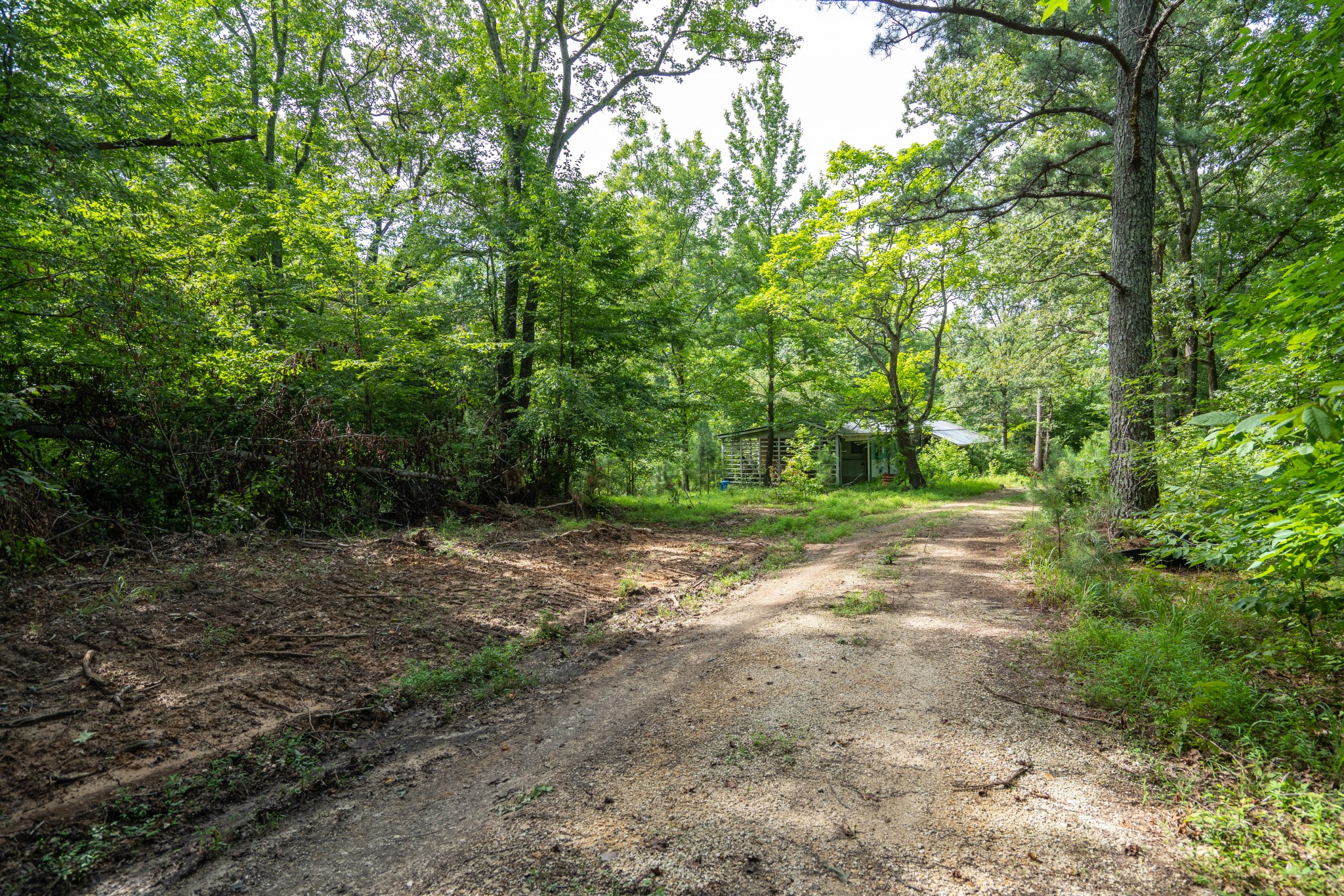 2155 Big Sandy River Road Camden, TN 38320 - Photo 49 of 50 Gallery Image 49