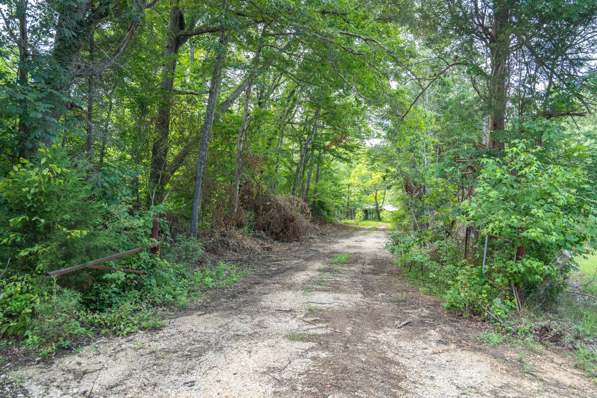 2155 Big Sandy River Road Camden, TN 38320 - Photo 50 of 50 Gallery Image 50