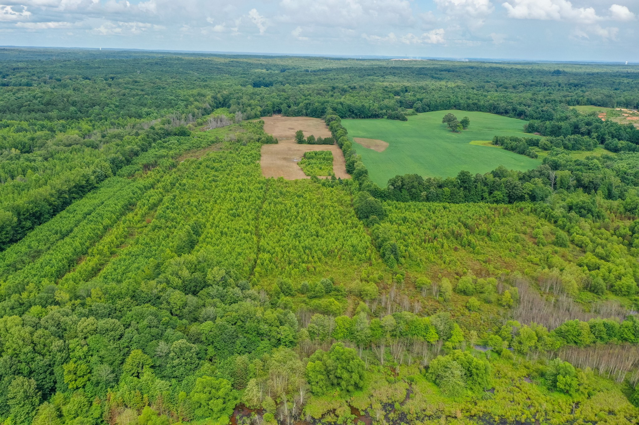 2155 Big Sandy River Road Camden, TN 38320 - Photo 9 of 50 Gallery Image 9