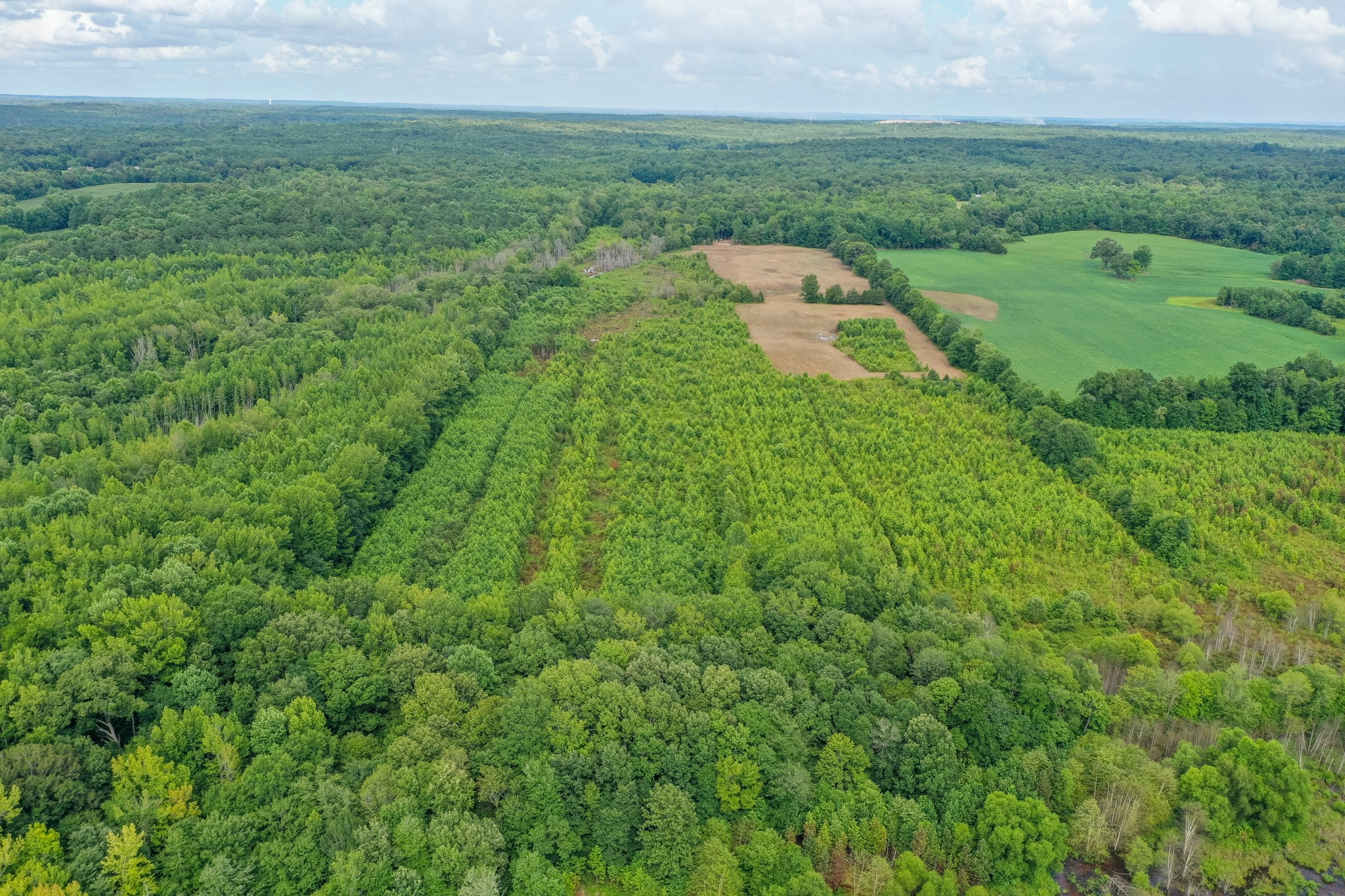 2155 Big Sandy River Road Camden, TN 38320 - Photo 10 of 50 Gallery Image 10