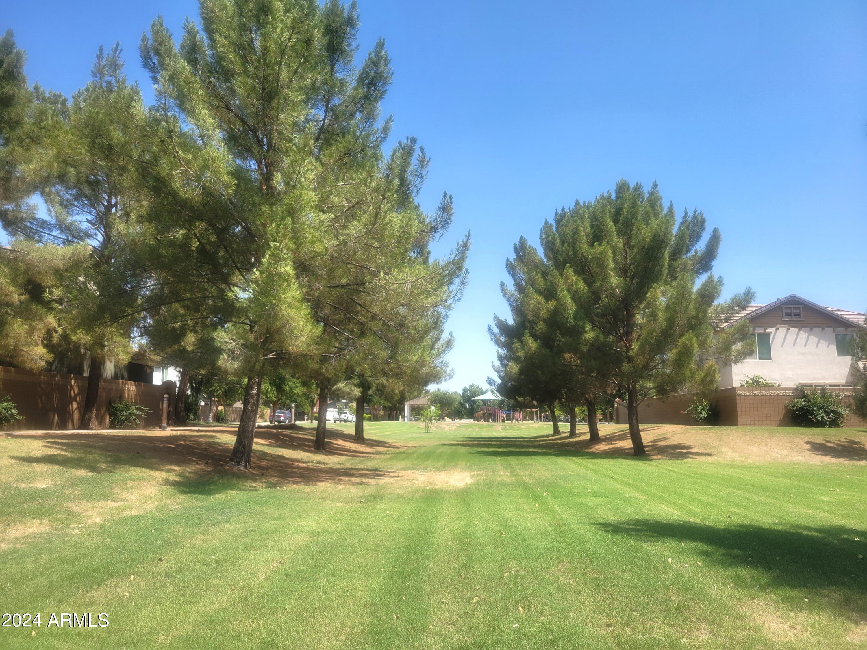 3360 East Morrison Ranch Parkway Gilbert, AZ 85296 - Photo 66 of 75 Park & greenbelt