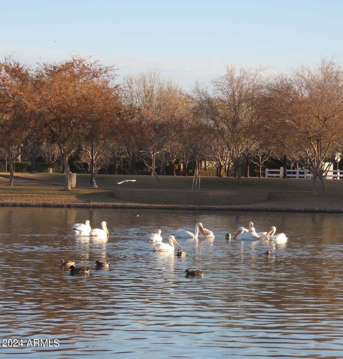 3360 East Morrison Ranch Parkway Gilbert, AZ 85296 - Photo 69 of 75 Town Center Lake in the fall.