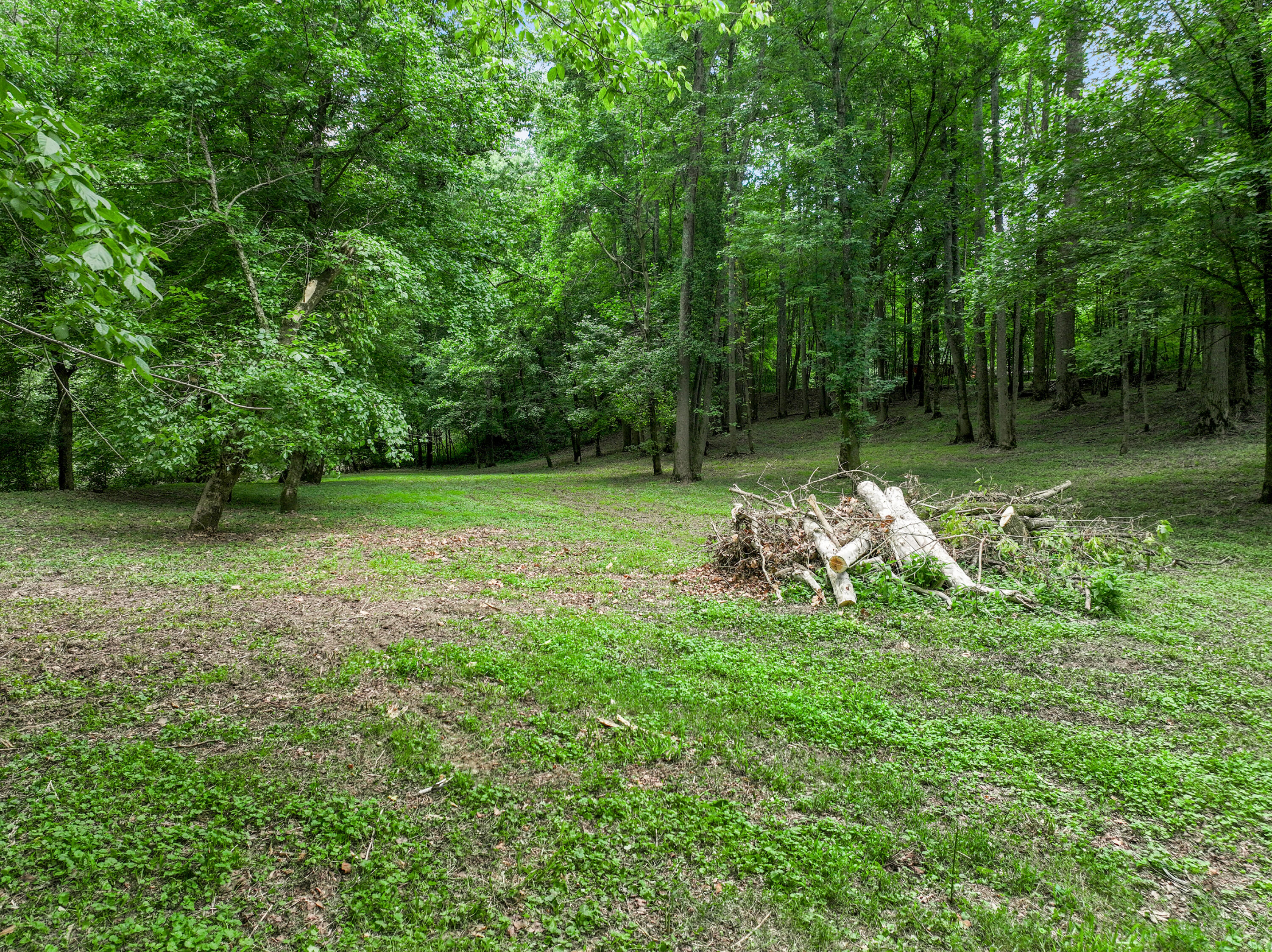 231 Fintville Road Versailles, KY 40383 - Photo 20 of 34 DJI_20260630071043_0620_D