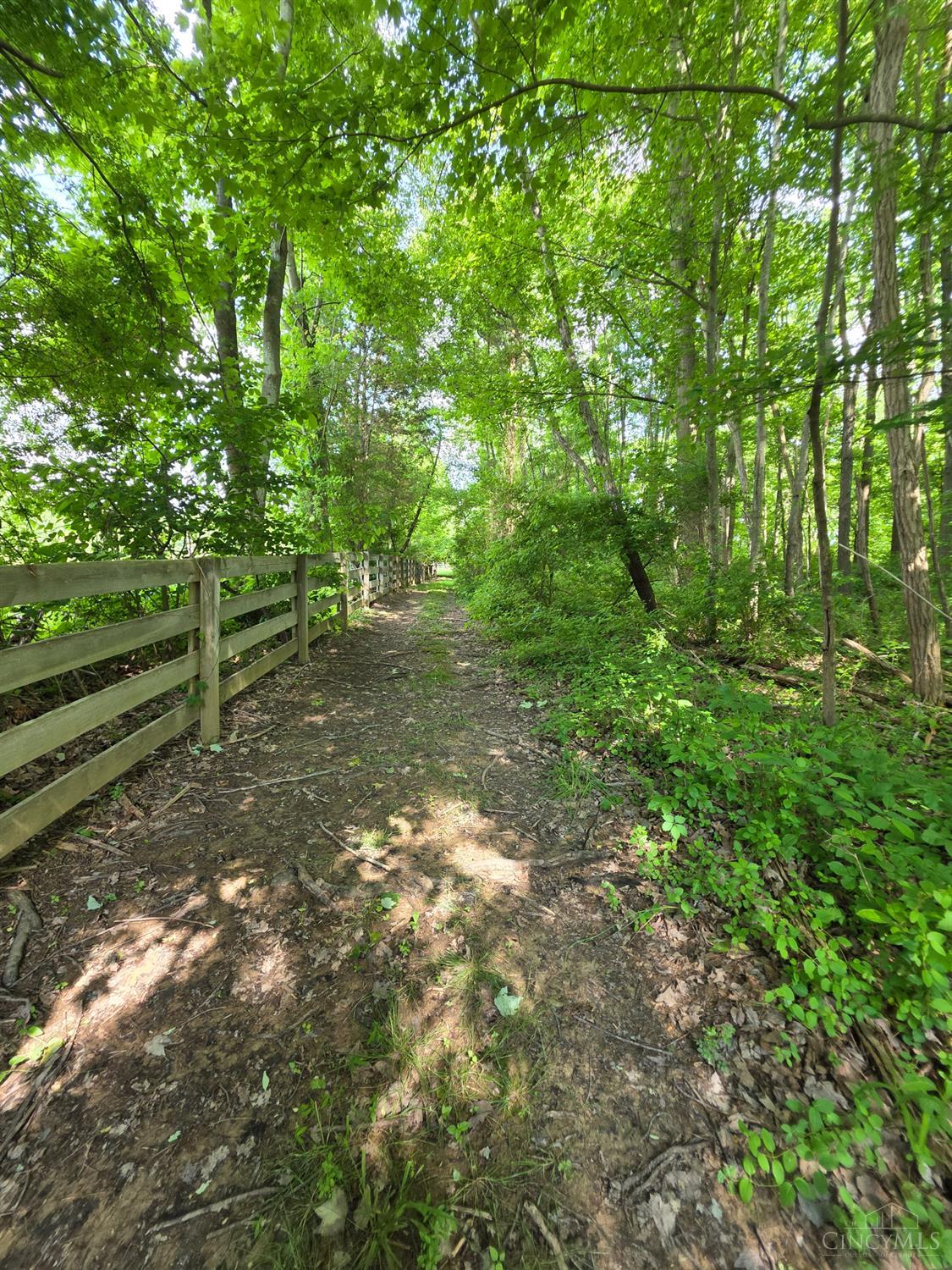0 Fagins Run Road New Richmond, OH 45157 - Photo 8 of 28