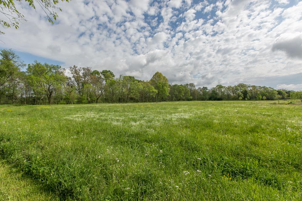 4703 Alsup Mill Road Lascassas, TN 37085 - Photo 4 of 30 a view of a field with an trees