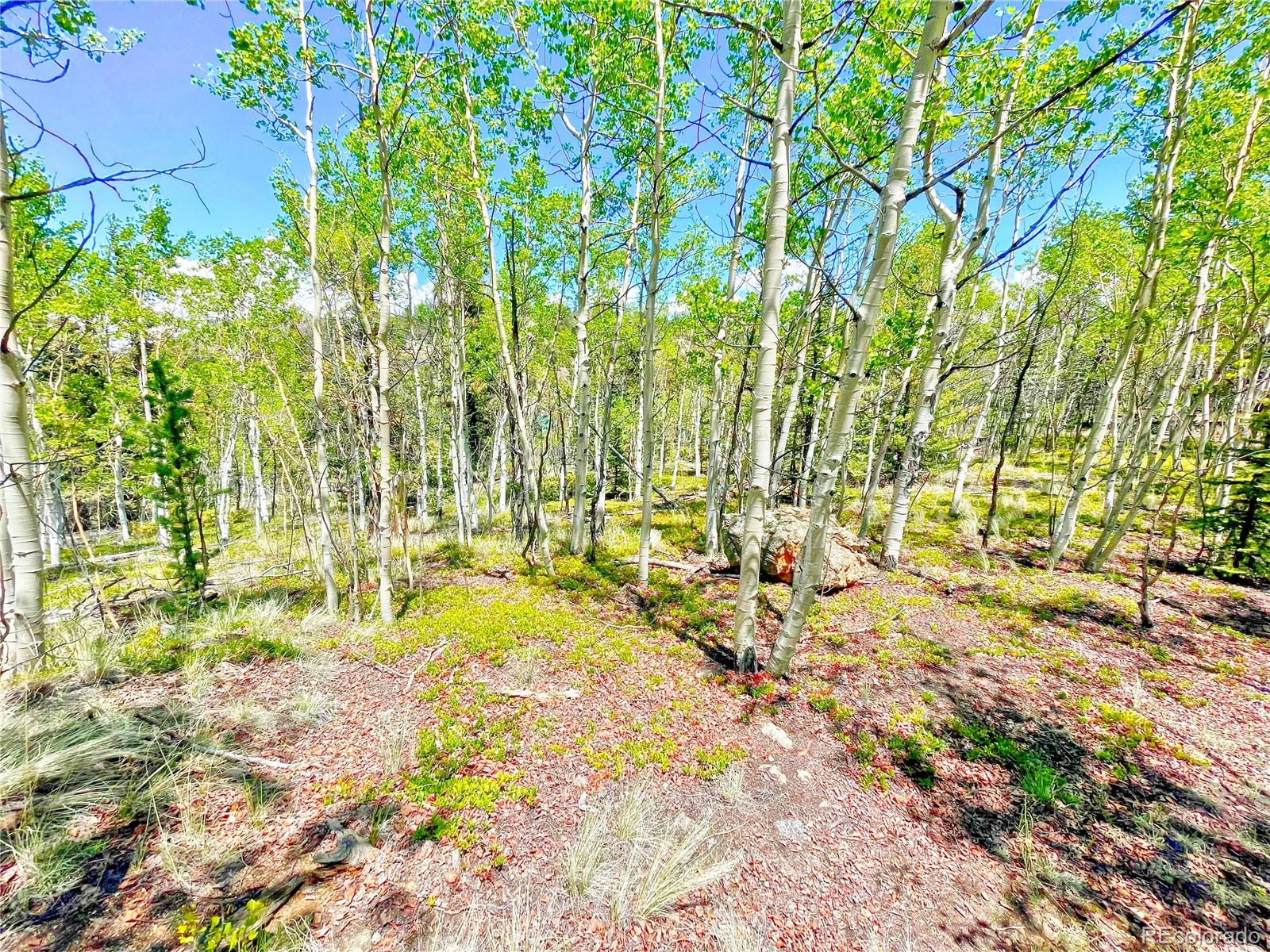 1140 Palomino Road Como, CO 80456 - Photo 11 of 27 Gallery Image 11