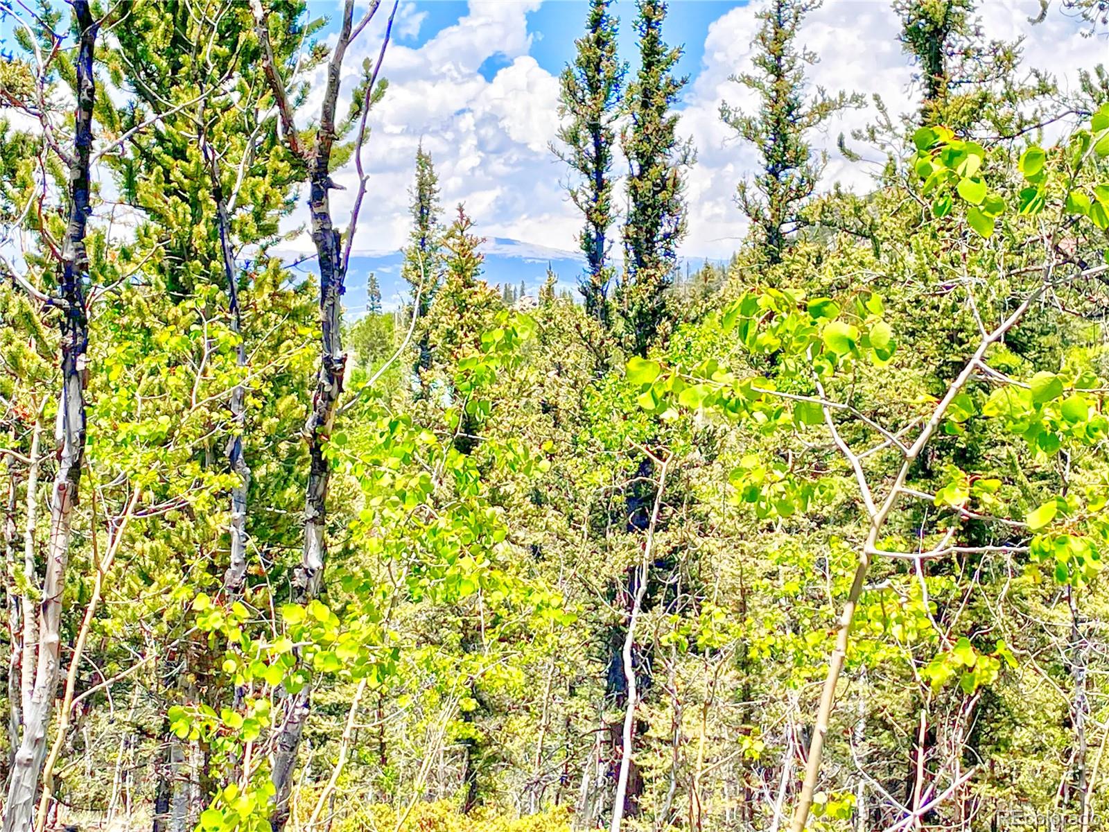 1140 Palomino Road Como, CO 80456 - Photo 14 of 27 Gallery Image 14