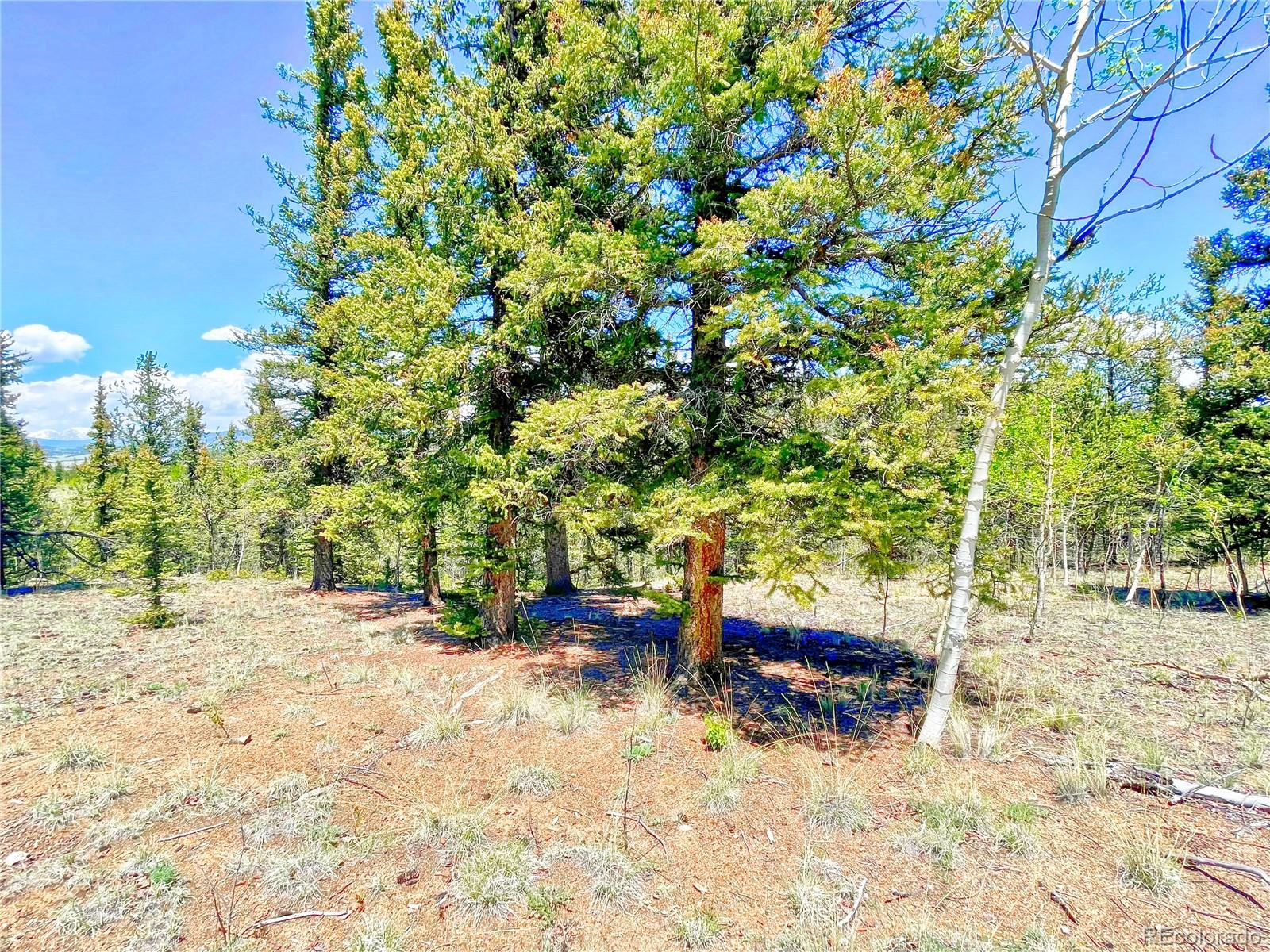 1140 Palomino Road Como, CO 80456 - Photo 15 of 27 Gallery Image 15