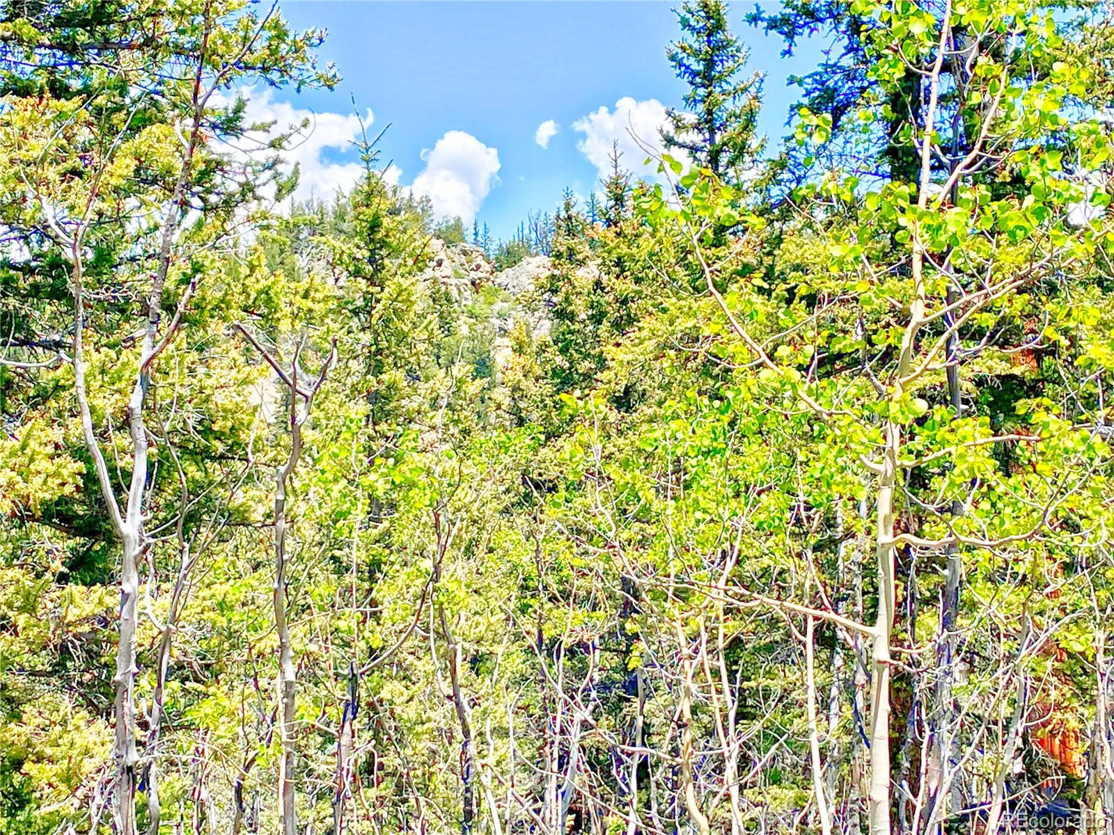 1140 Palomino Road Como, CO 80456 - Photo 20 of 27 Gallery Image 20
